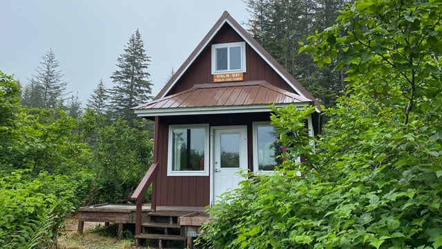 A cabin amongst green forest