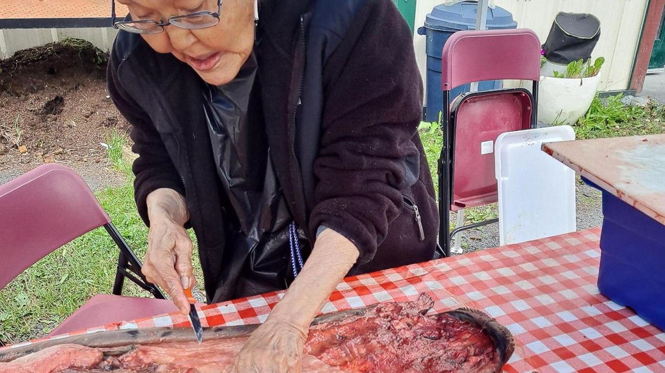 A woman cuts fat from the inside of a seal hide