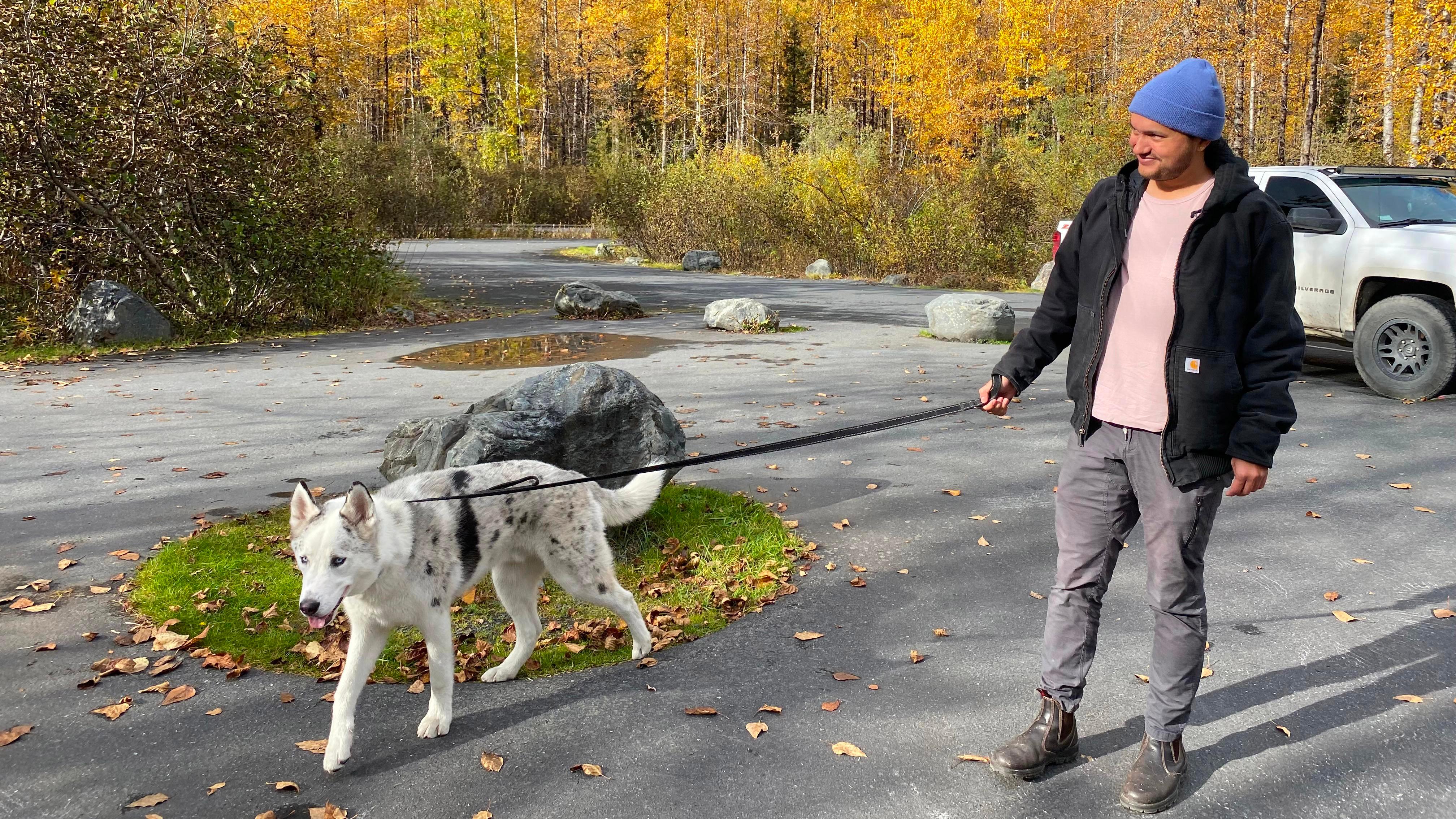 A person walks a dog with a leash
