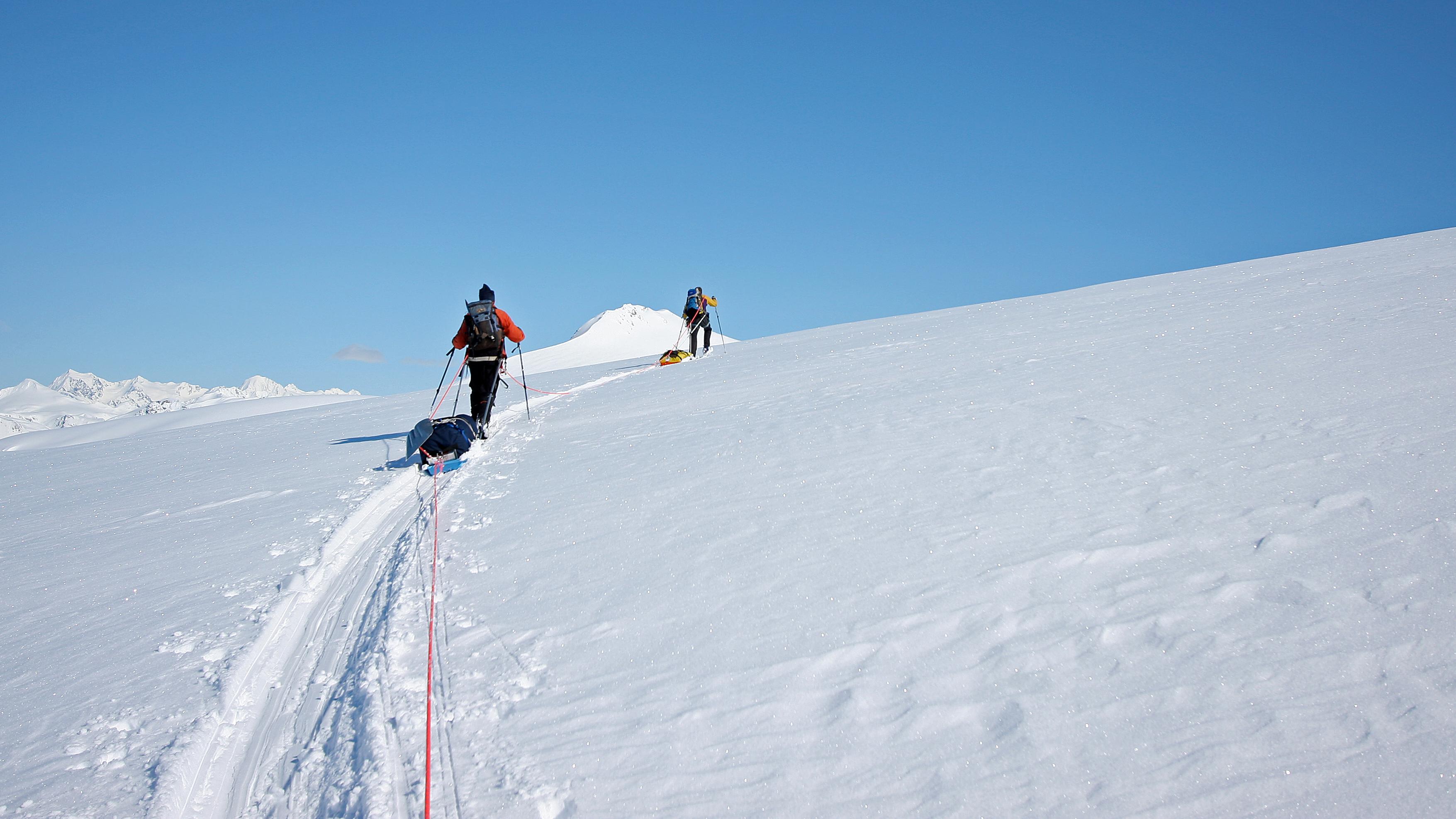 People skiing with gear in tow cross over a snow-covered hill