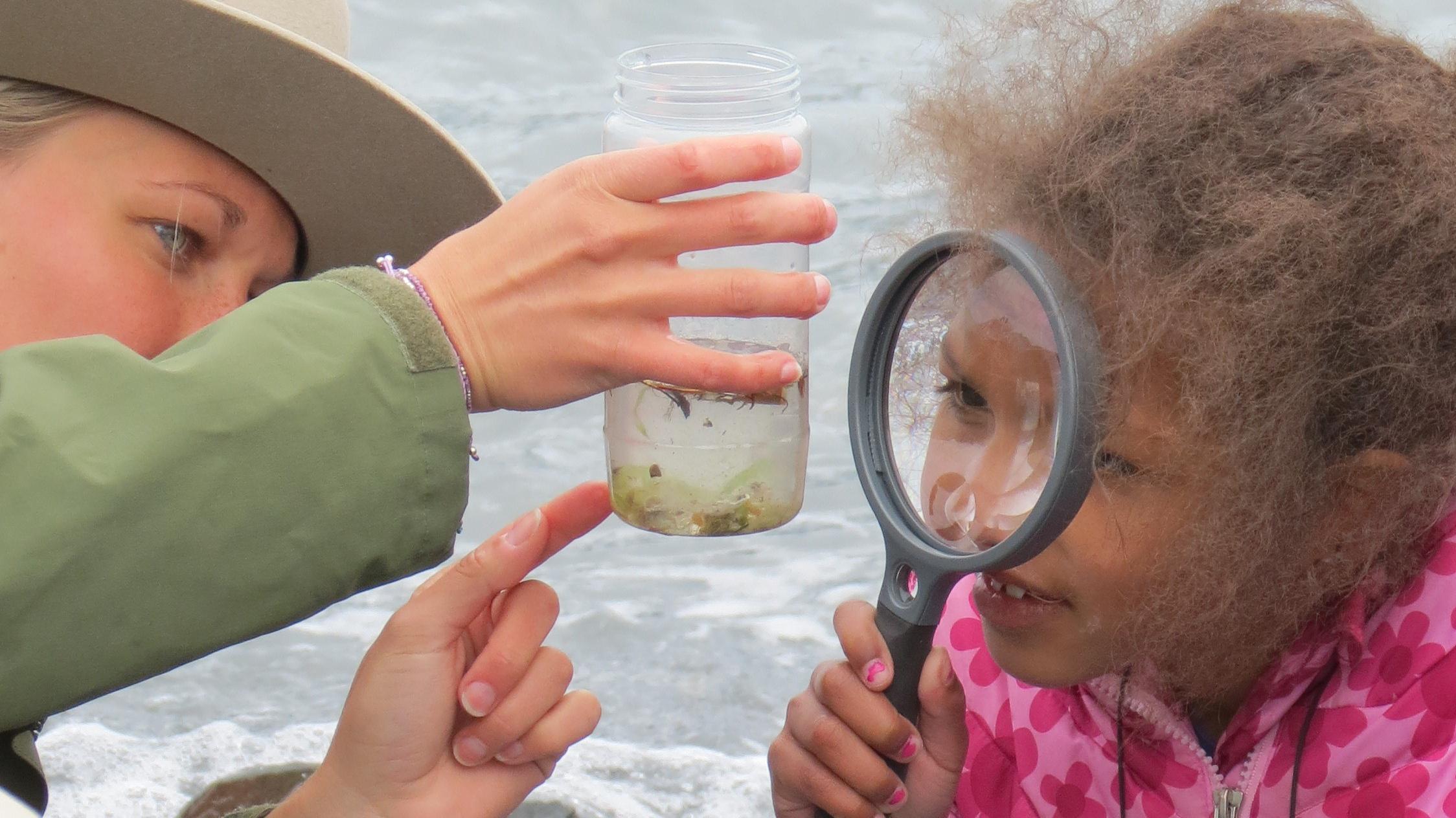A ranger shows plankton in a jar to a child with a magnifying glass