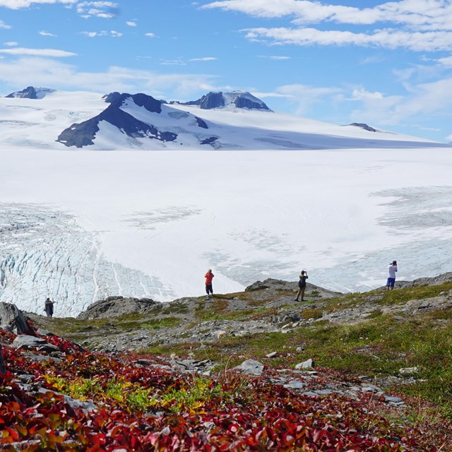 Hikers take in the view of the Harding Icefield. In the foreground, bearberry turns a brilliant red
