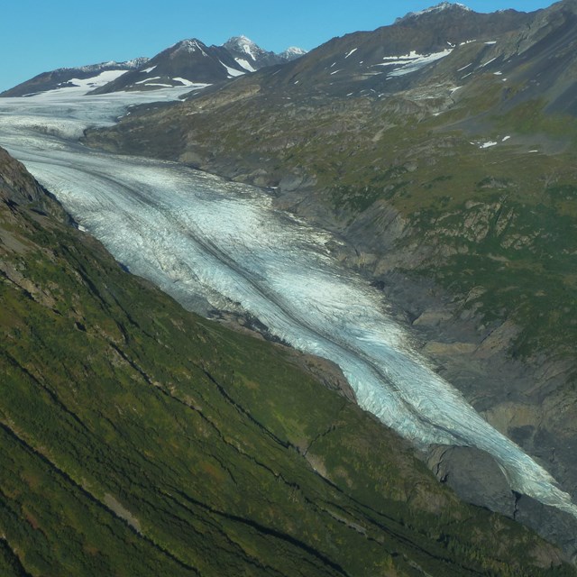 A glacier flowing between two plant covered mountainsides.  
