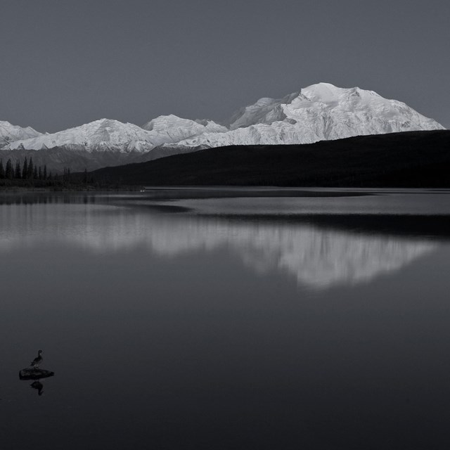 Denali is reflected in a foreground lake in black and white.