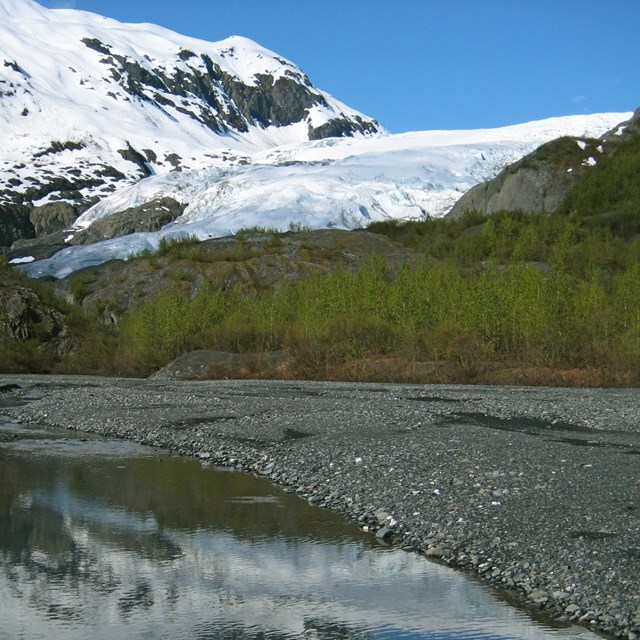 Exit Glacier and outwash plain.