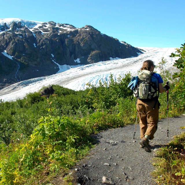 Hiker on trail through green grassy meadow with mountain in background and Exit Glacier.