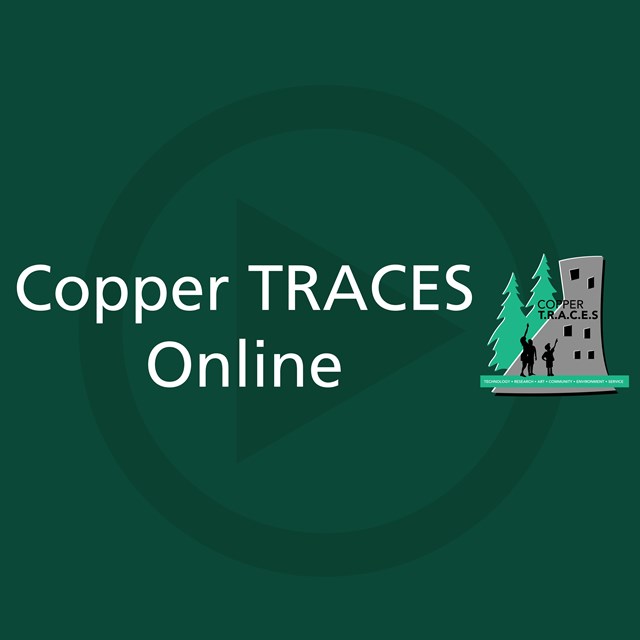 Copper TRACES Online logo