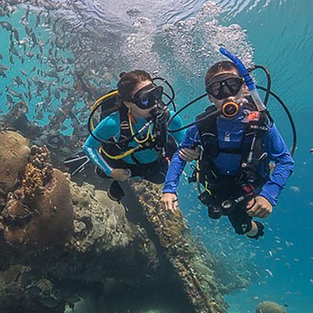 Two people in diving gear move around a reef.