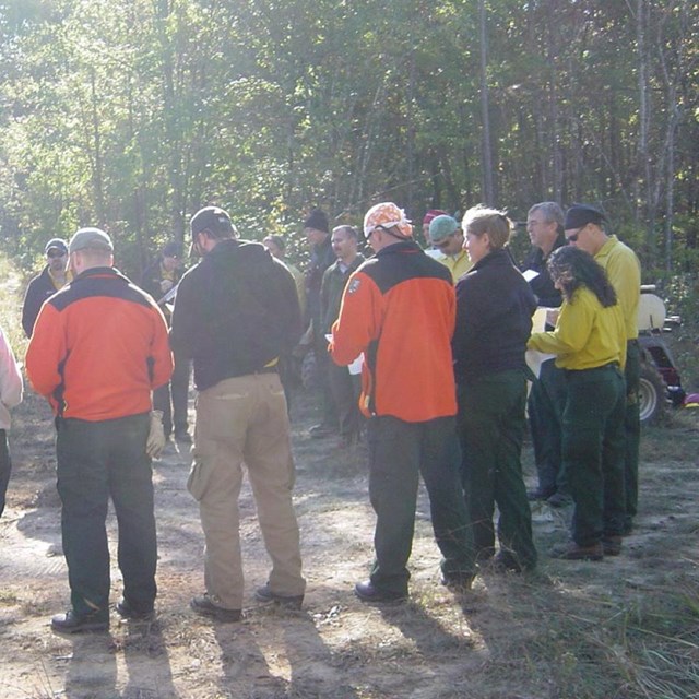 A group of people stand in a circle in the forest.