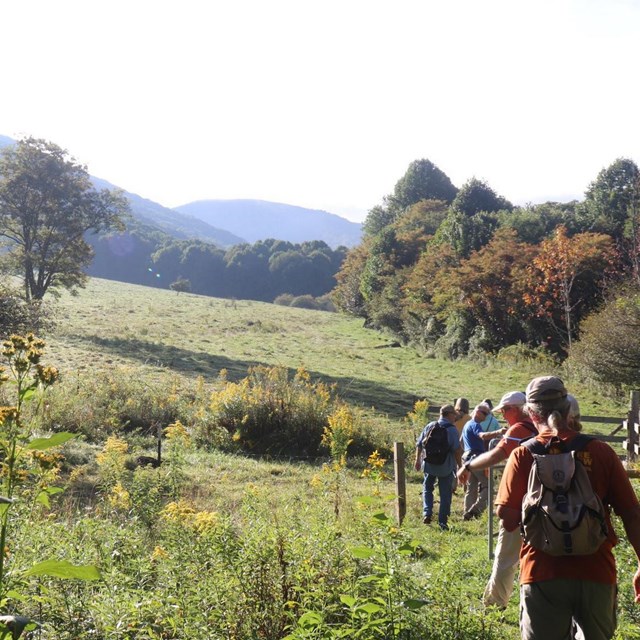 A group of hikers walks through a valley with mountains in the background.