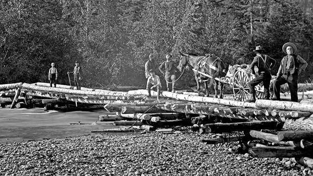 Black and white photo of people and horses on a log bridge.