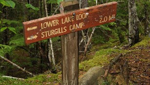 Trail sign reading "Lower Lake Loop" and "Sturgills Camp 2.0 MI"