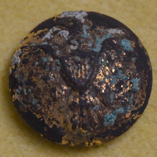 Close up of button with eagle and shield and some tarnish
