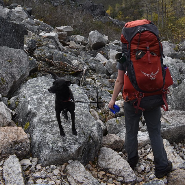 a hiker and a dog walk across a rocky area