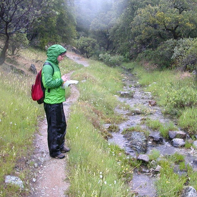 Person standing on trail in the rain at Whiskeytown NRA recording data on a GPS unit