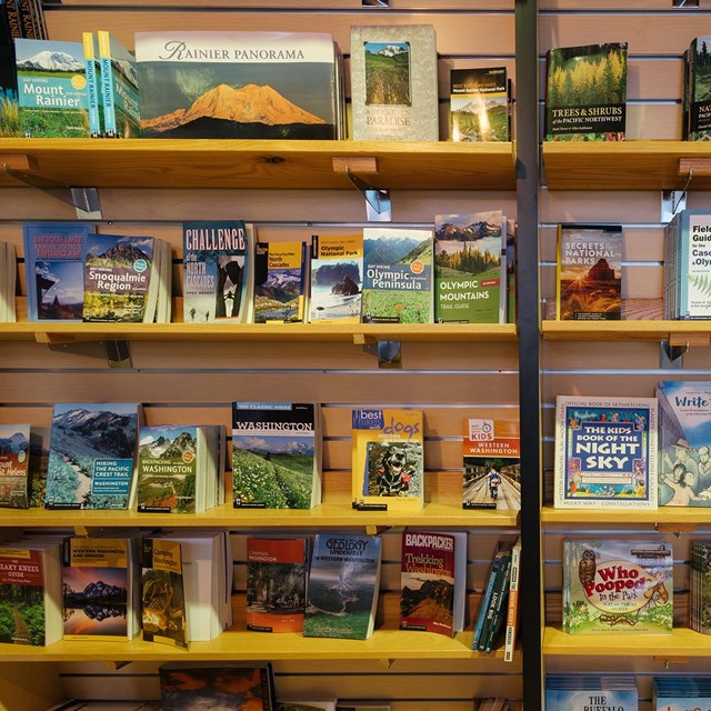 Multiple books line wooden shelves