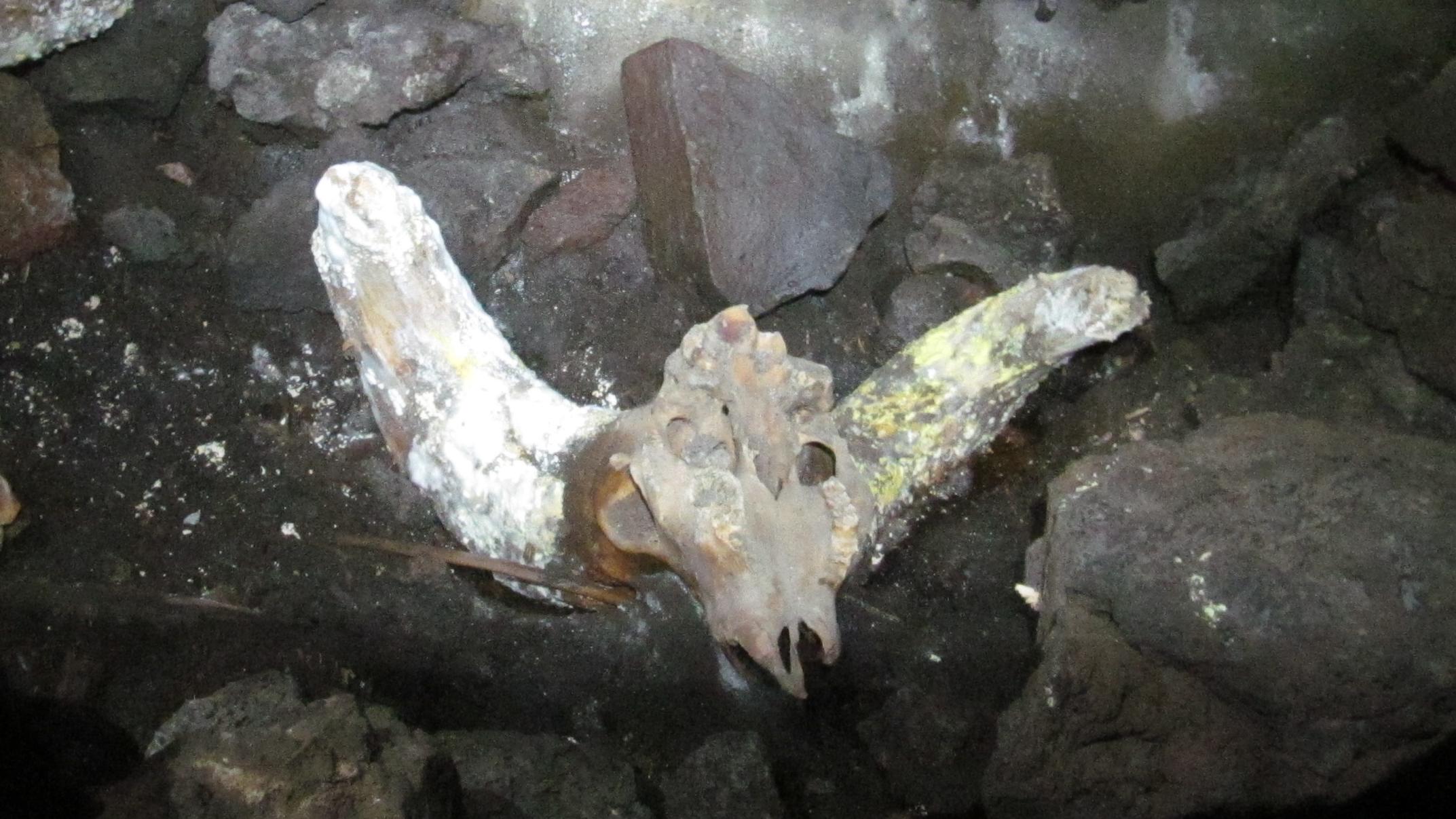 Skull Cave