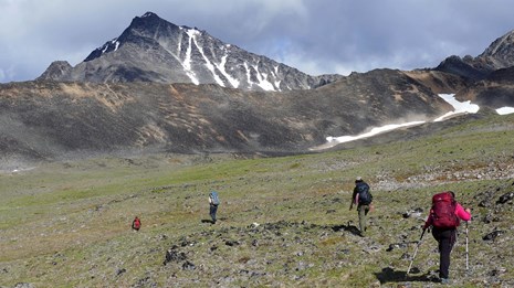 Four backpackers hike on the tundra