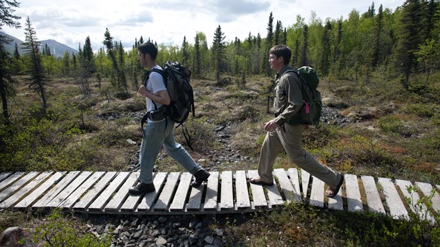 Two hikers on a boardwalk through the tundra