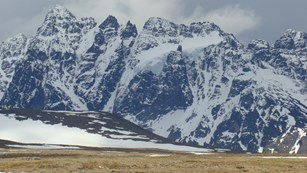 A jagged and snowy mountain peak rises above grassy tundra