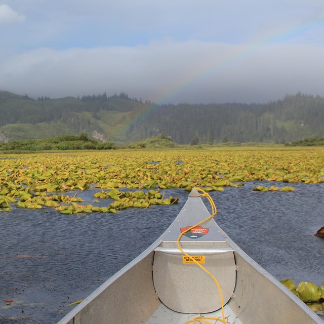 a canoe displaying an NPS arrowhead floats on a lily pad covered lake