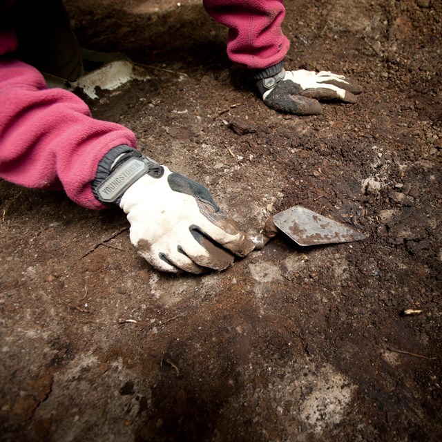 a close-up of gloved hands working digging with a trowel at an archeological site