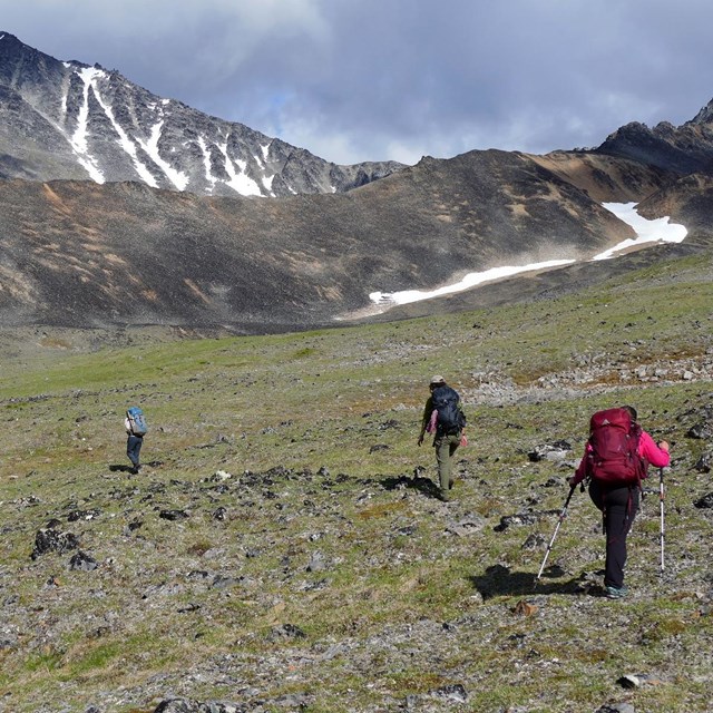 Four backpackers hike on the tundra