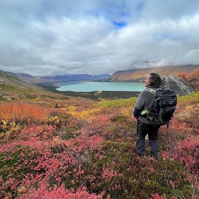 A person stands in a field of plants. In the distance is a lake with surrounding mountains.