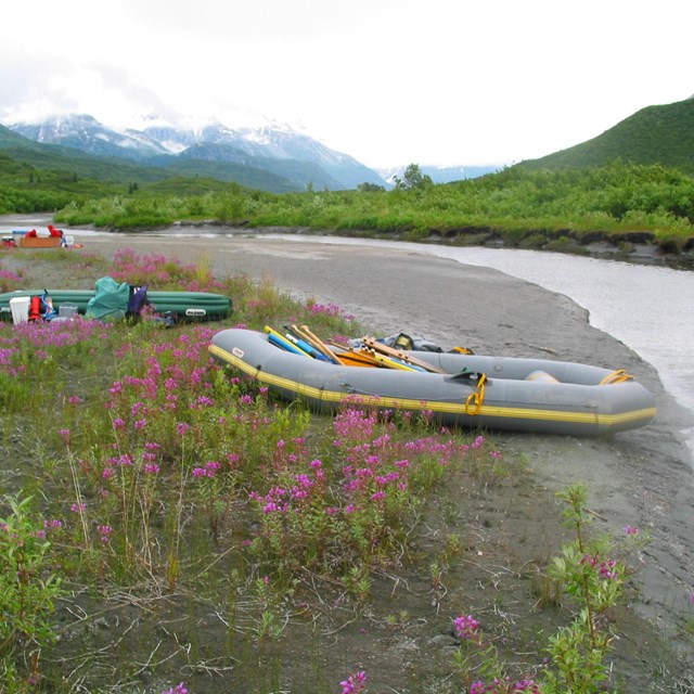 A raft sits on a river shore amdist the fireweed blooms