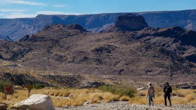 People hiking on a trail in a desert landscape