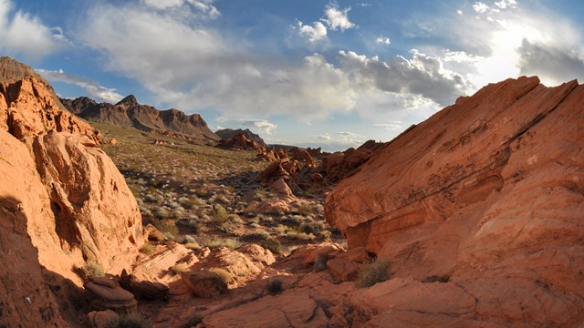 Red rocks in a desert landscape
