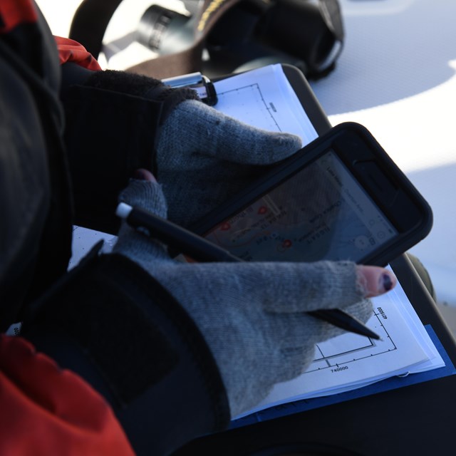 Ranger documenting species on cell phone.