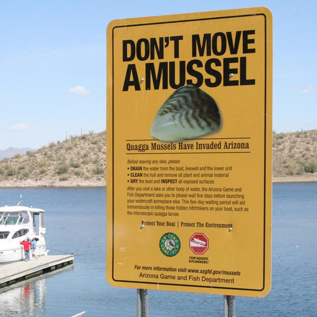 Sign post about quagga mussels.