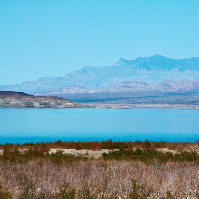 Desert landscape with a lake. 
