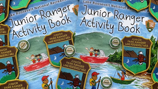 Collage of bright patches with bald eagles and booklets focused on kids education.