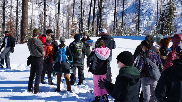 a park ranger talking to a group of kids and chaperones on snowshoes, snowy forest in the background