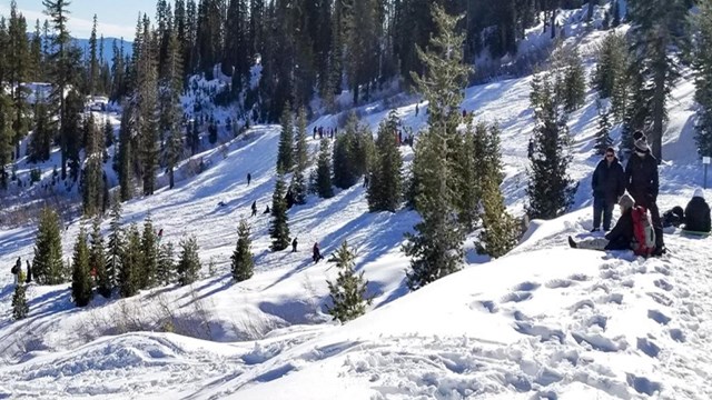 Sledders enjoing the snowy slopes near the Kohm Yah-mah-nee Visitor Center