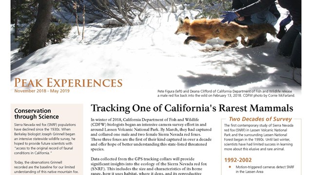 screenshot of visitor guide front page