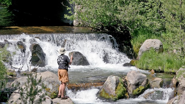 fisherman standing near a large stream