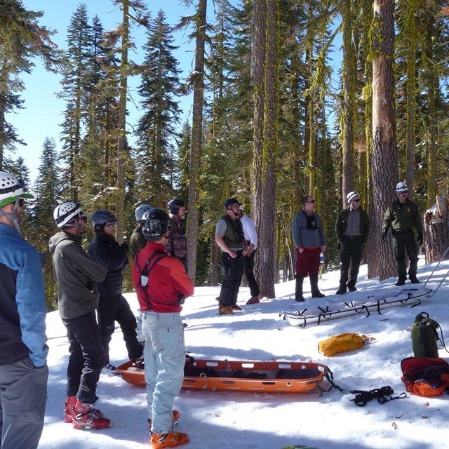 group standing around a bright orange litter in a snowy wooded area