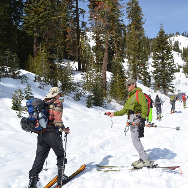 a skiier holding a beacon checkers as a ski group goes by on a winter route