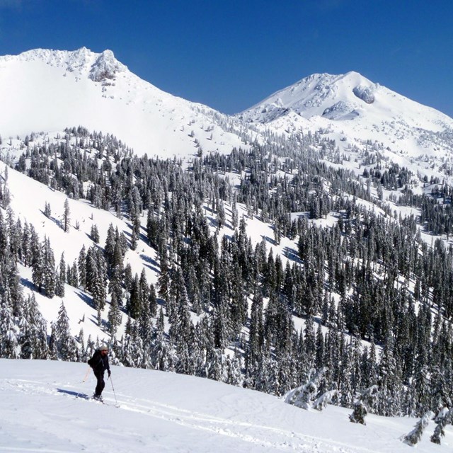 A skier stands on a slope backed by distance tree-covered mountains