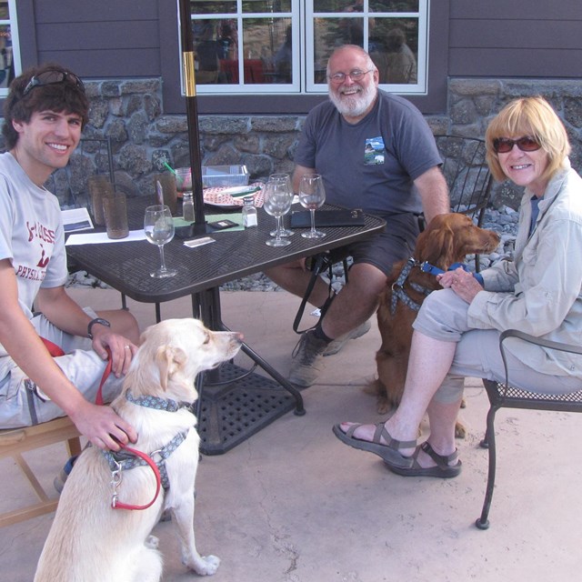 Visitors with leashed dogs at table 