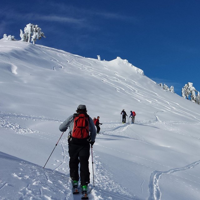 cross-country skiers on a snow-covered mountainside, blue sky behind