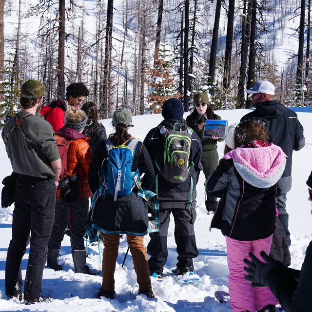 a park ranger talking to a group of kids and chaperones on snowshoes, snowy forest in the background