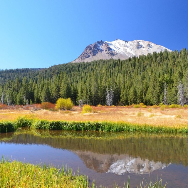 snowy peak reflected in a creek running through a meadow, trees behind