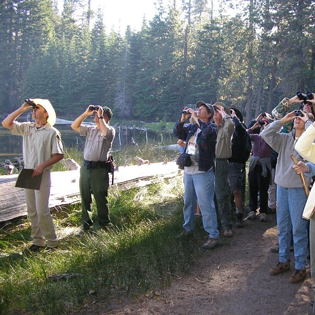 a group of people looking through binoculars by a lake