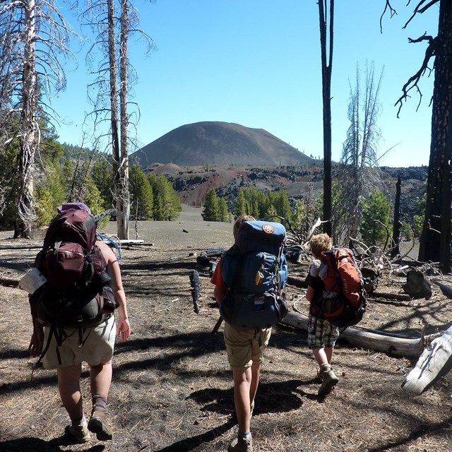 three people with large backpacks walking away from the camera through the woods