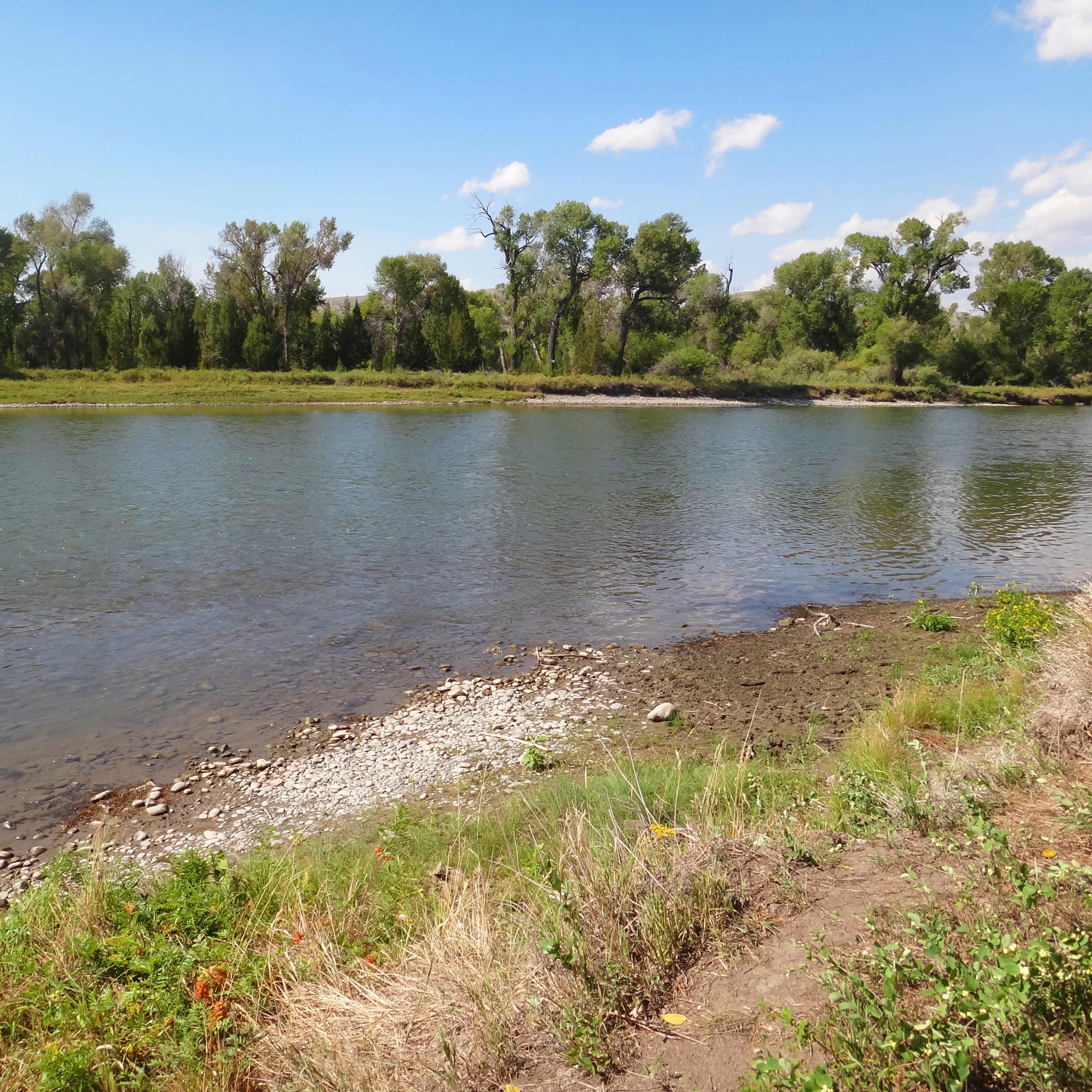 River with islands in the background