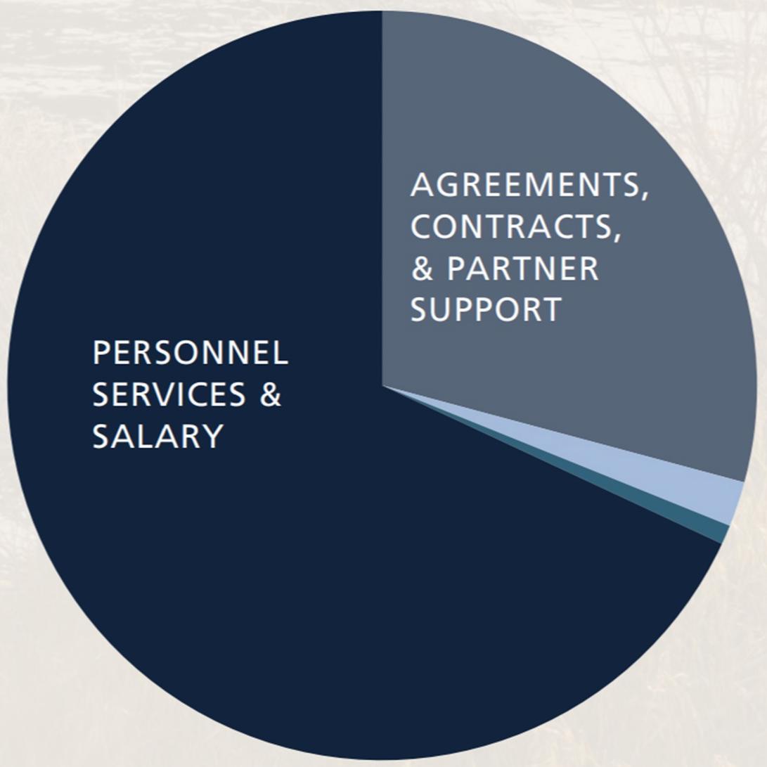 a pie chart